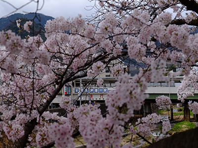 阪急芦屋川駅｜ザ・パークハウス芦屋